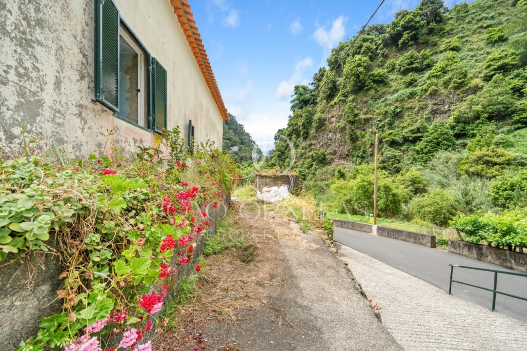 Moradia T3 para Venda em São Vicente Foto 23