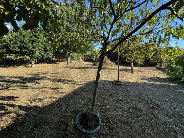 Moradia T4 para Venda em Viseu