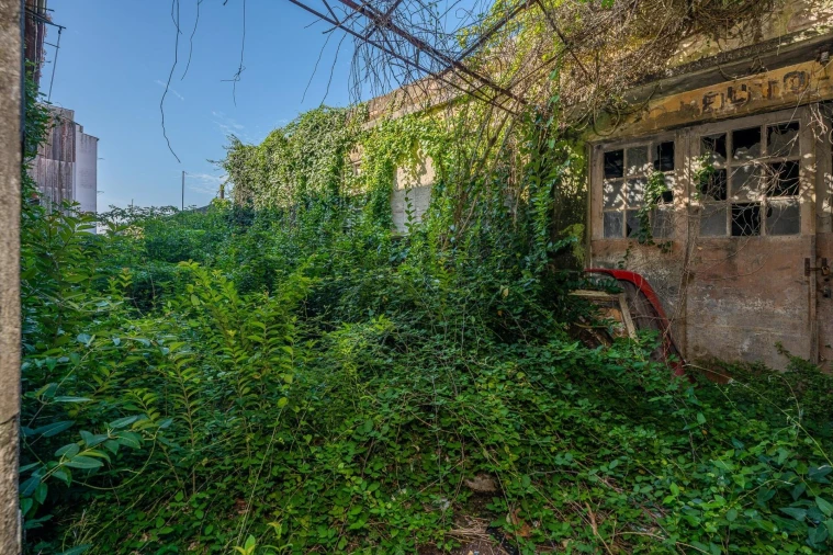 Prédio para Venda em Bonfim Foto 3