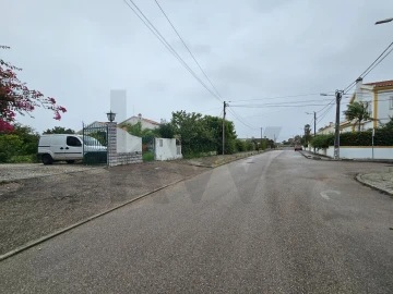 Quinta T4 para Venda em Moita