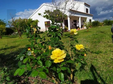 Quinta T4 para Venda em Moita