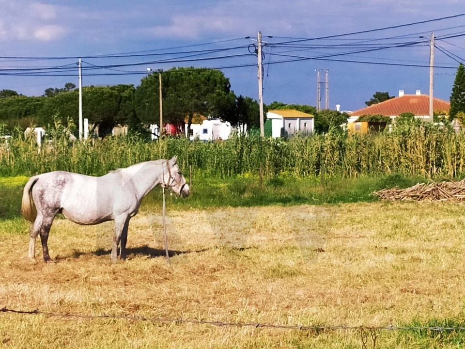 Quinta T4 para Venda em Moita Foto 66