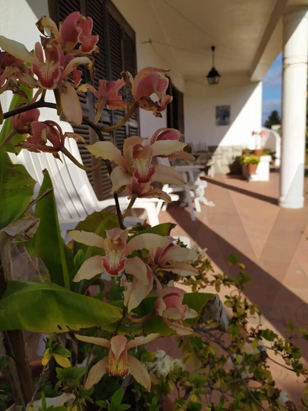 Quinta T4 para Venda em Moita Foto 14
