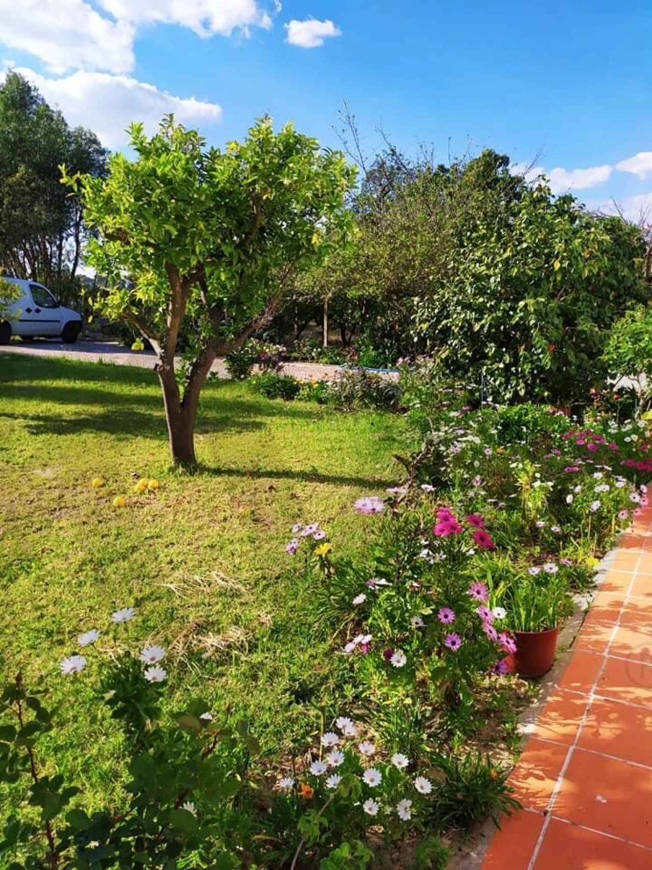 Quinta T4 para Venda em Moita Foto 42
