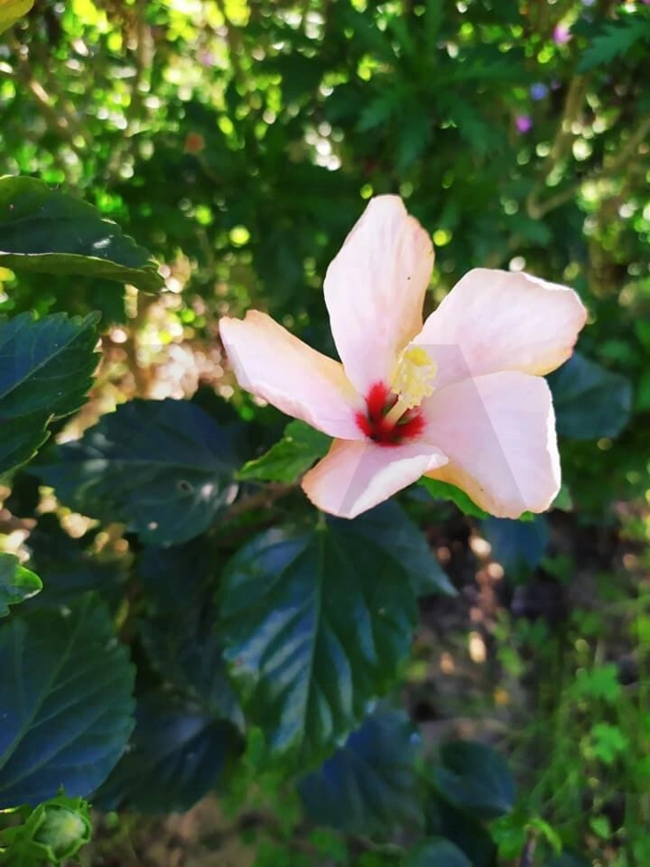 Quinta T4 para Venda em Moita Foto 59