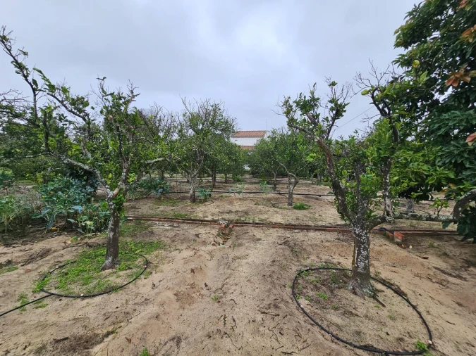 Quinta T4 para Venda em Moita Foto 73