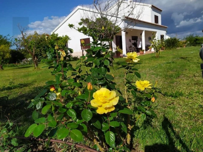 Quinta T4 para Venda em Moita Foto 70