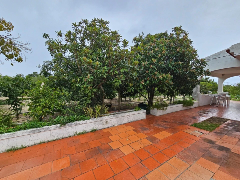 Quinta T4 para Venda em Moita Foto 17
