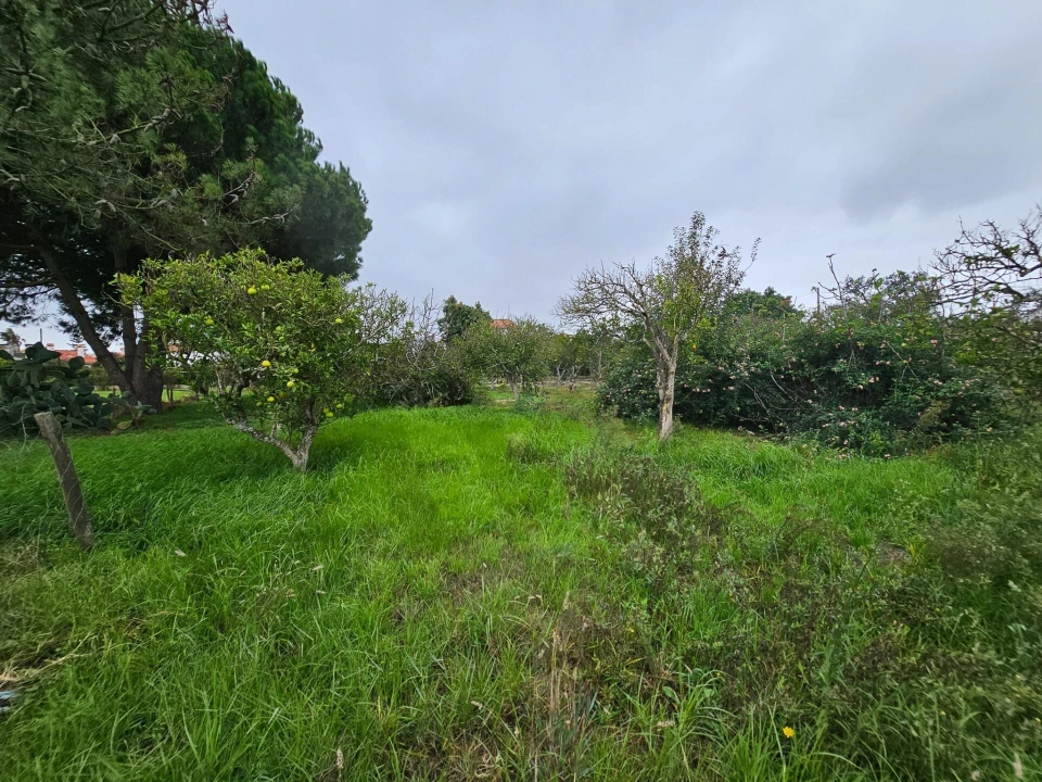 Quinta T4 para Venda em Moita Foto 72