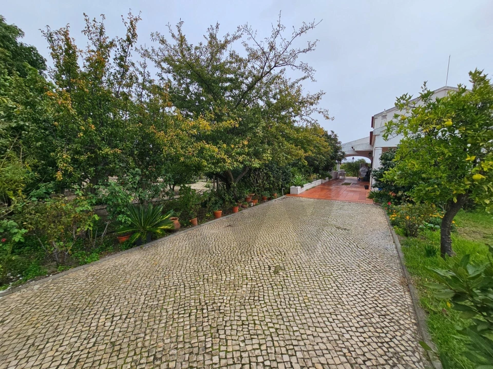 Quinta T4 para Venda em Moita Foto 10