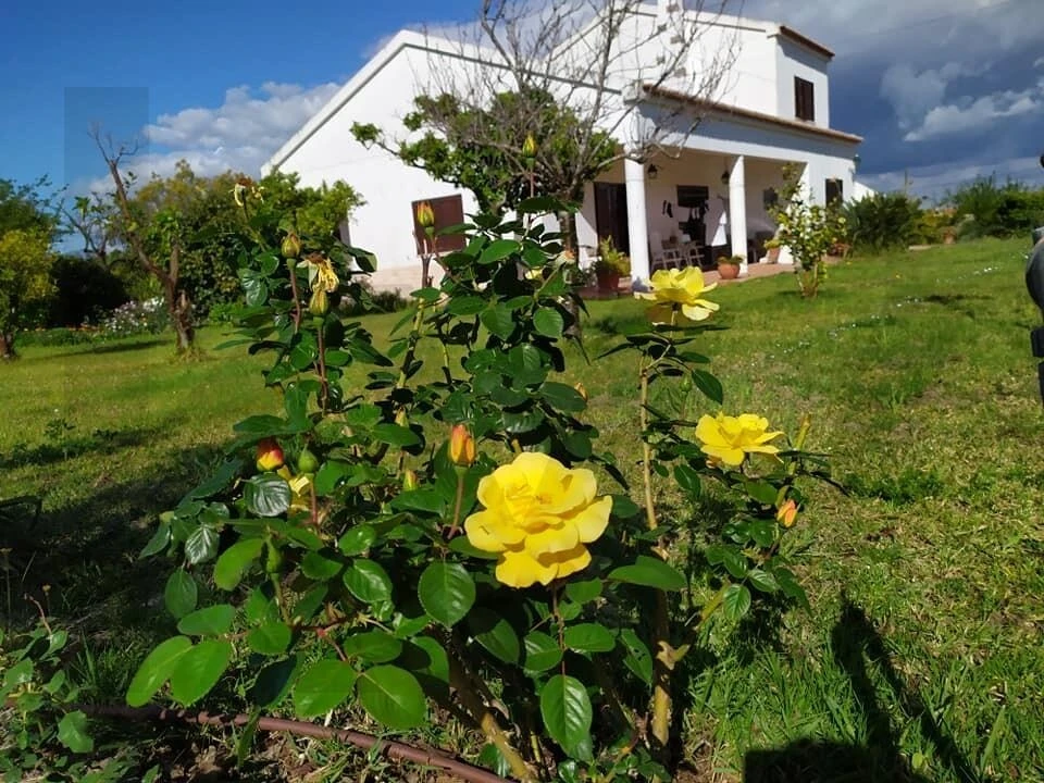 Quinta T4 para Venda em Moita Foto 70