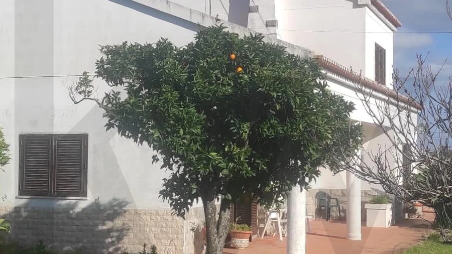 Quinta T4 para Venda em Moita