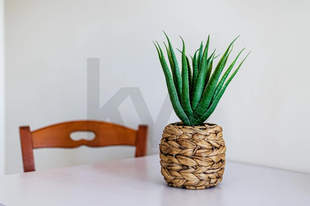 Apartamento T1 para Venda em Alcantarilha e Pêra Foto 8