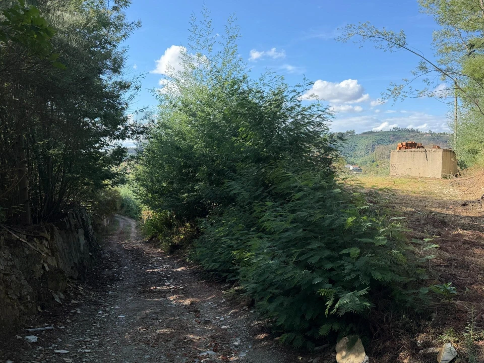 Terreno para Venda em Cerdeira e Moura da Serra Foto 10