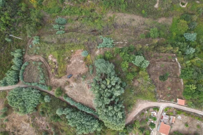 Terreno para Venda em Cerdeira e Moura da Serra