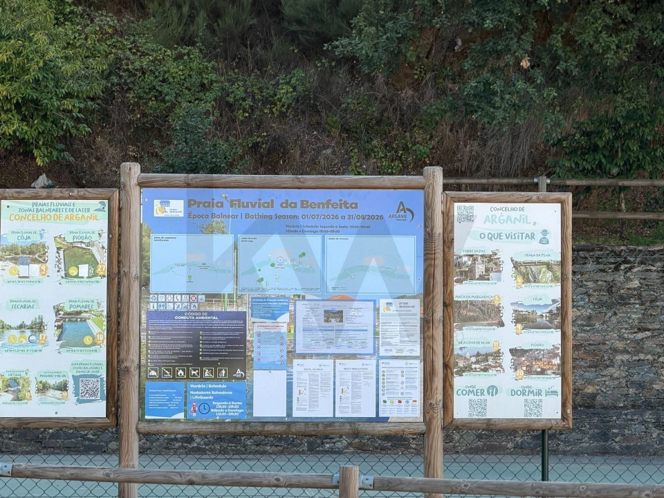 Terreno para Venda em Cerdeira e Moura da Serra Foto 23