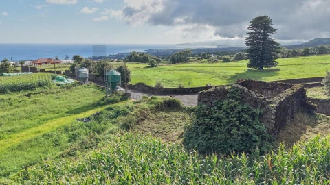Terreno para Venda em Capelas