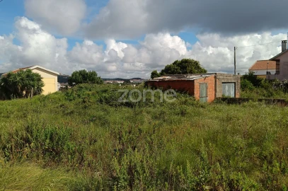 Terreno para Venda em Santa Maria e São Miguel, São Martinho, São Pedro Penaferrim