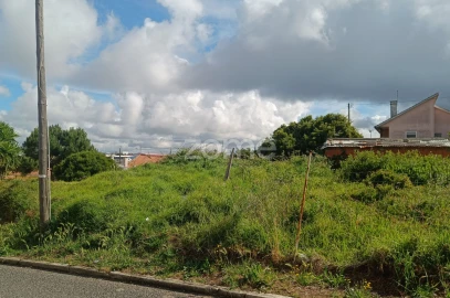 Terreno para Venda em Santa Maria e São Miguel, São Martinho, São Pedro Penaferrim