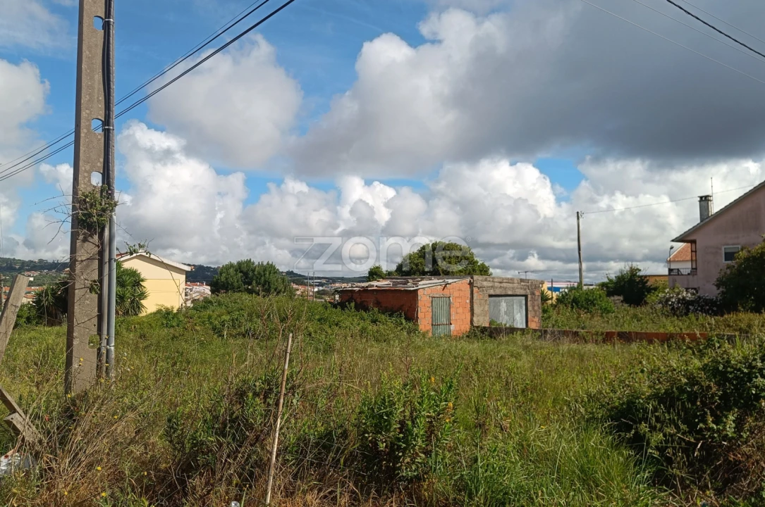 Terreno para Venda em Santa Maria e São Miguel, São Martinho, São Pedro Penaferrim Foto 3