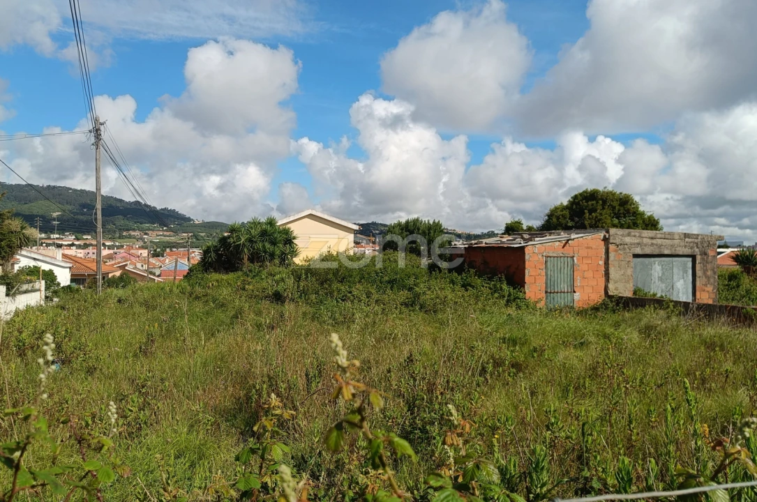 Terreno para Venda em Santa Maria e São Miguel, São Martinho, São Pedro Penaferrim Foto 4