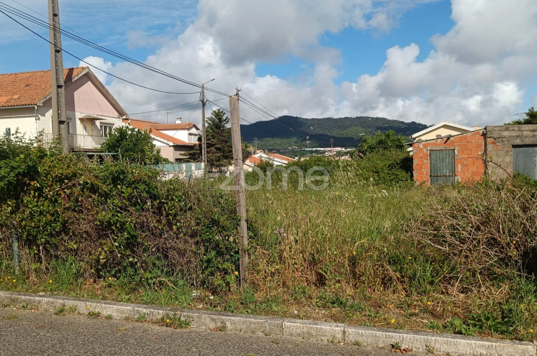Terreno para Venda em Santa Maria e São Miguel, São Martinho, São Pedro Penaferrim Foto 5