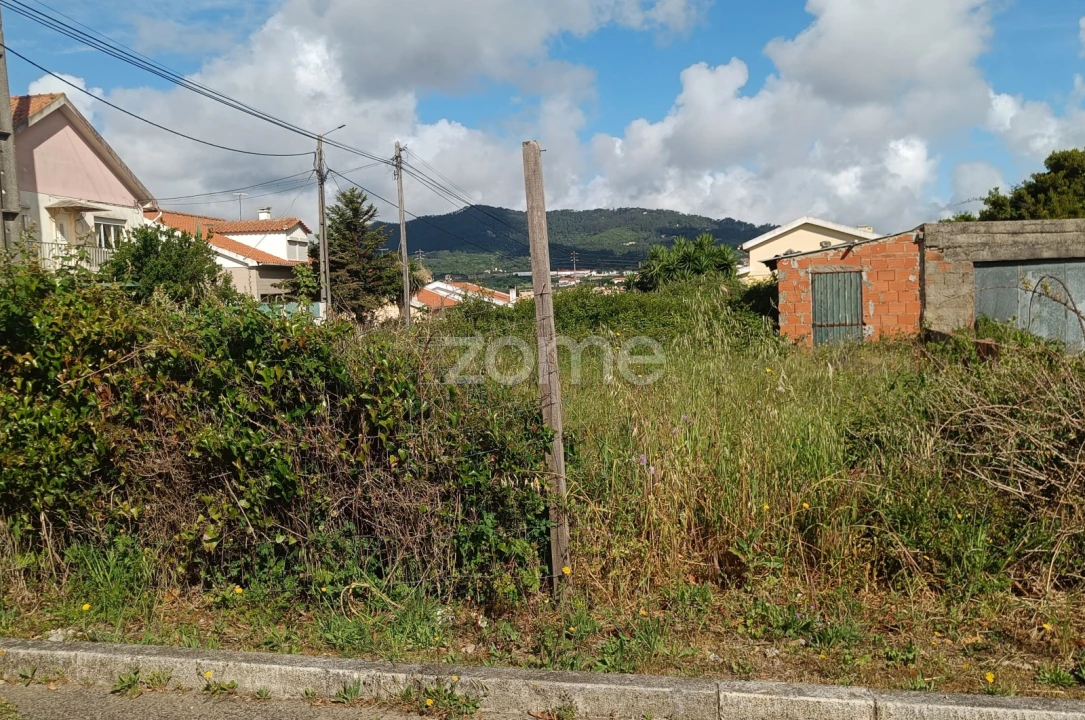 Terreno para Venda em Santa Maria e São Miguel, São Martinho, São Pedro Penaferrim Foto 6