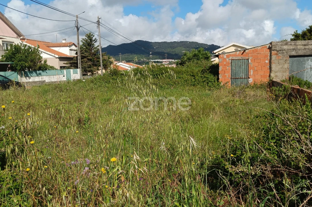 Terreno para Venda em Santa Maria e São Miguel, São Martinho, São Pedro Penaferrim Foto 7