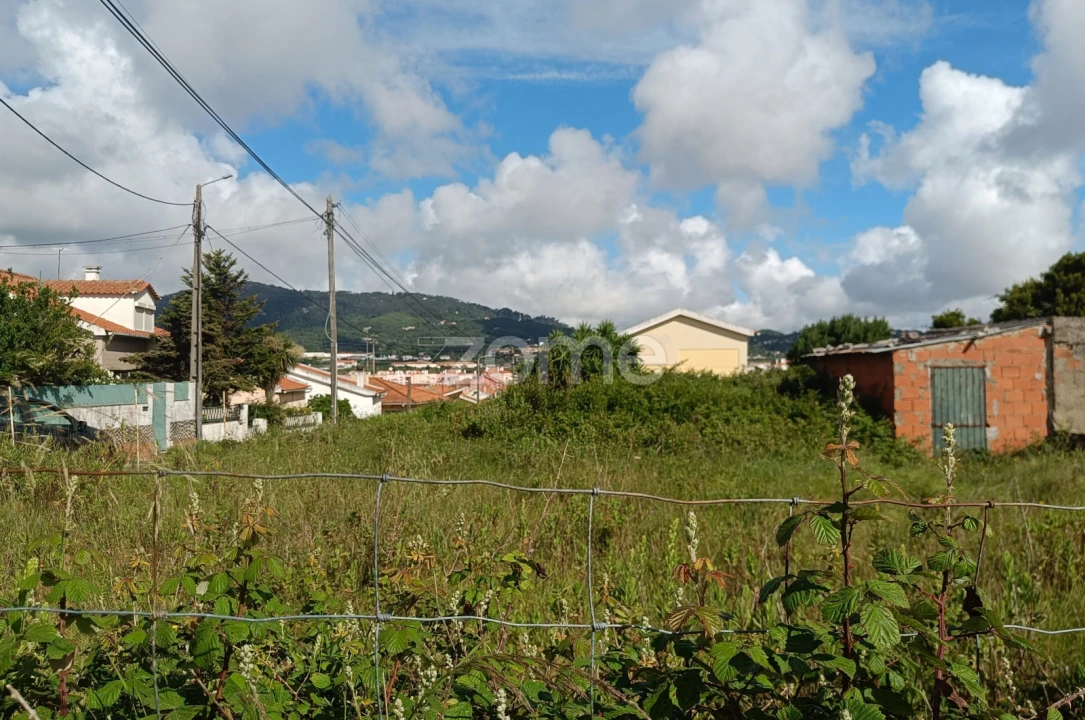 Terreno para Venda em Santa Maria e São Miguel, São Martinho, São Pedro Penaferrim Foto 8
