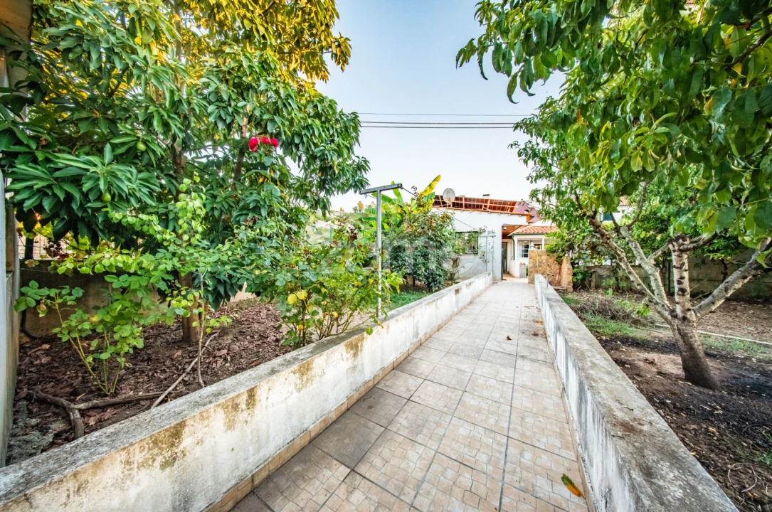 Moradia T3 para Venda em Eiras e São Paulo de Frades Foto 29