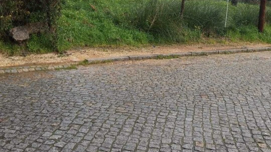 Terreno para Venda em Gulpilhares e Valadares
