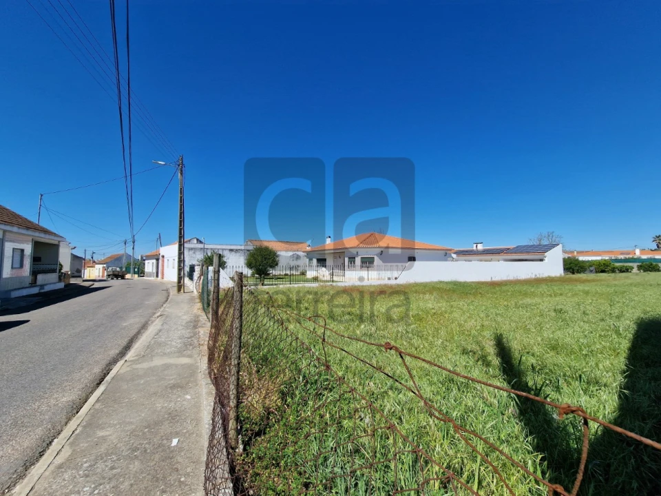 Terreno para Venda em Alpiarça Foto 6