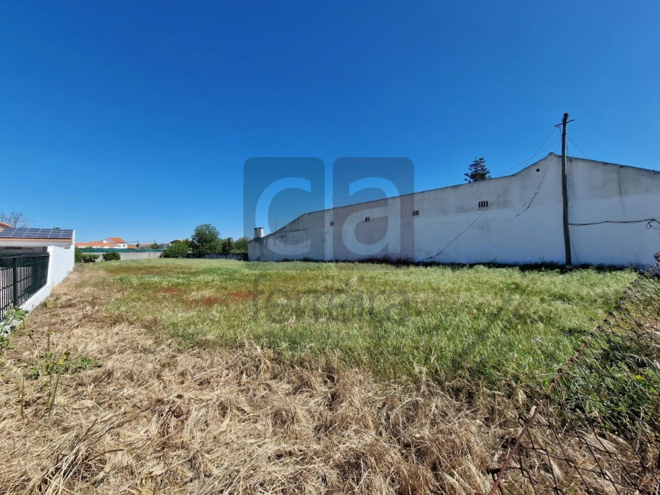Terreno para Venda em Alpiarça Foto 7
