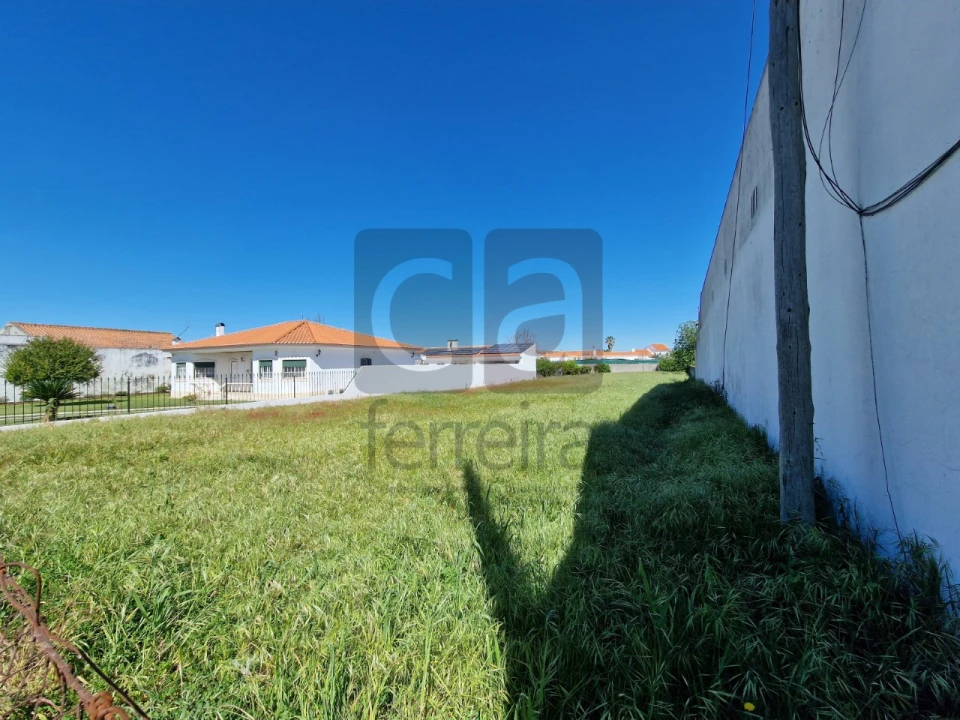 Terreno para Venda em Alpiarça Foto 8