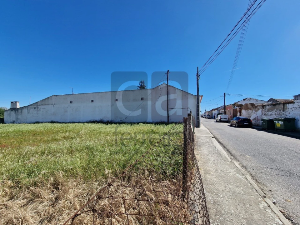 Terreno para Venda em Alpiarça Foto 9