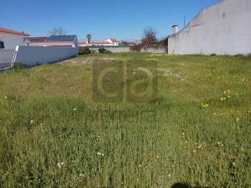 Terreno para Venda em Alpiarça