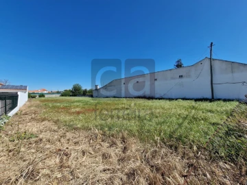 Terreno para Venda em Alpiarça