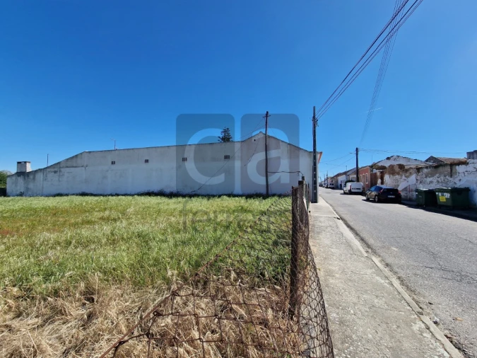 Terreno para Venda em Alpiarça Foto 9
