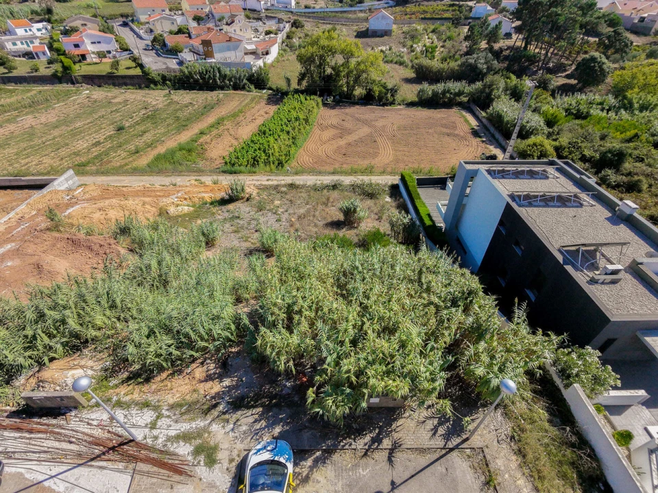 Terreno para Venda em Ericeira Foto 9