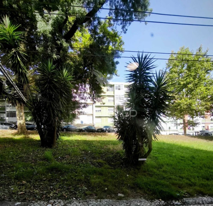 Apartamento T2 para Venda em Benfica Foto 14