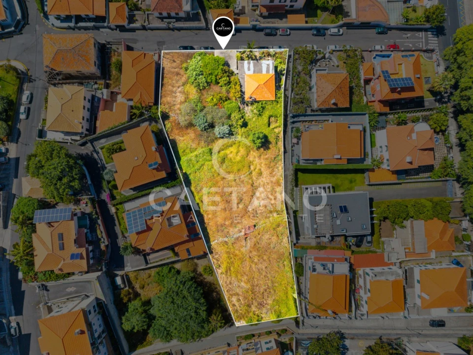 Terreno para Venda em Funchal (Santa Luzia) Foto 8