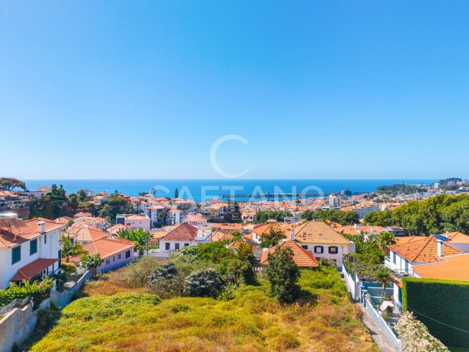 Terreno para Venda em Funchal (Santa Luzia) Foto 5