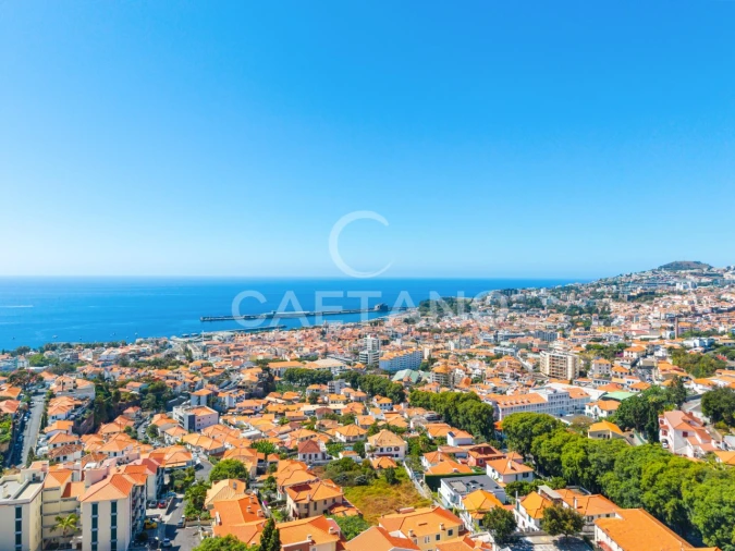 Terreno para Venda em Funchal (Santa Luzia) Foto 11