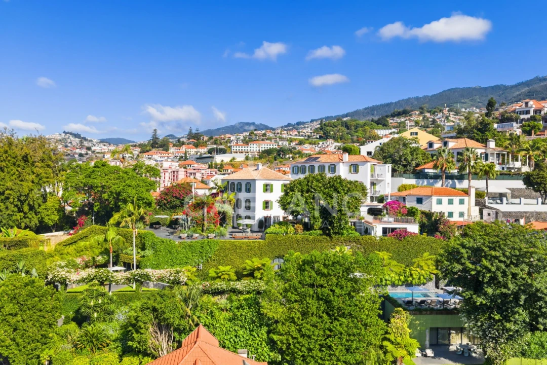 Quinta T8 para Venda em Funchal (Santa Luzia) Foto 5