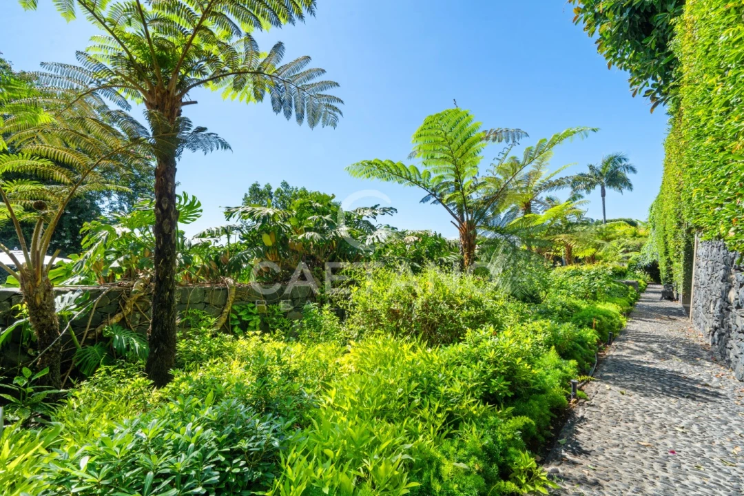 Quinta T8 para Venda em Funchal (Santa Luzia) Foto 32