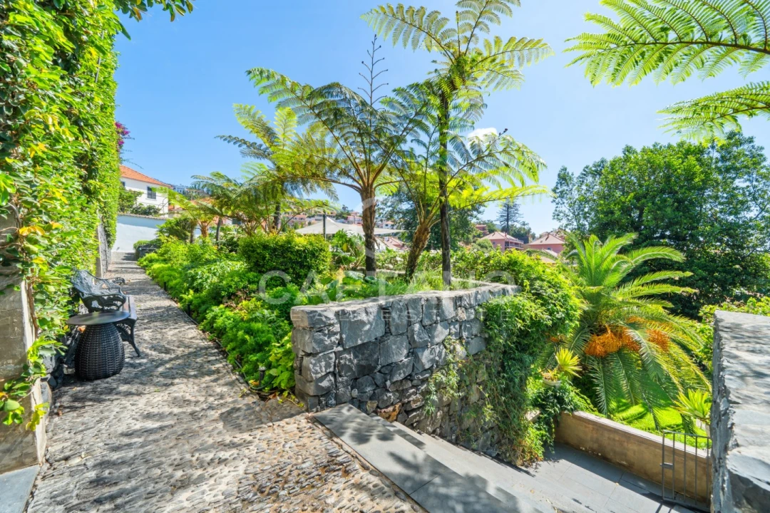 Quinta T8 para Venda em Funchal (Santa Luzia) Foto 33