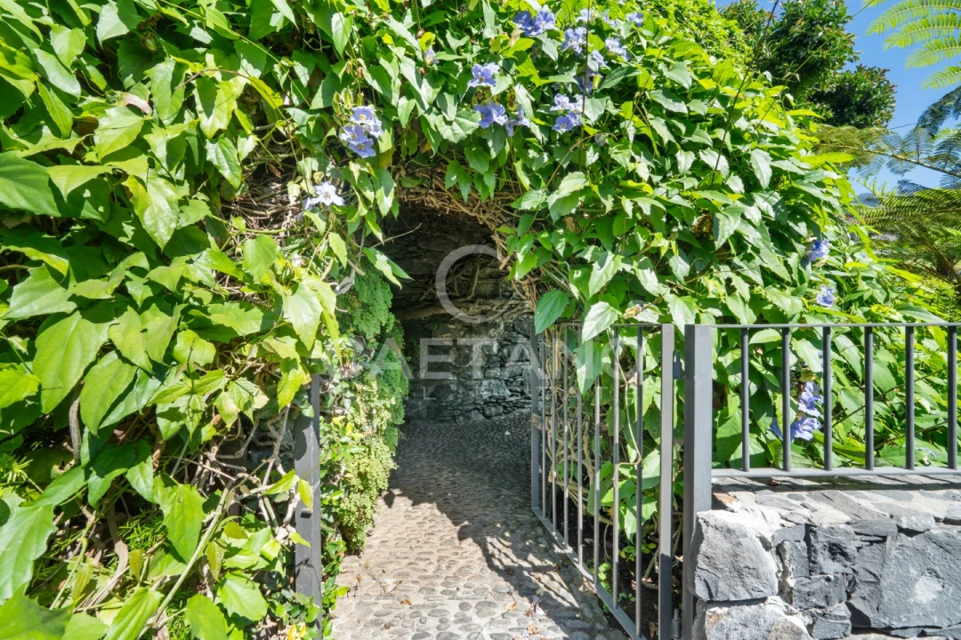 Quinta T8 para Venda em Funchal (Santa Luzia) Foto 35