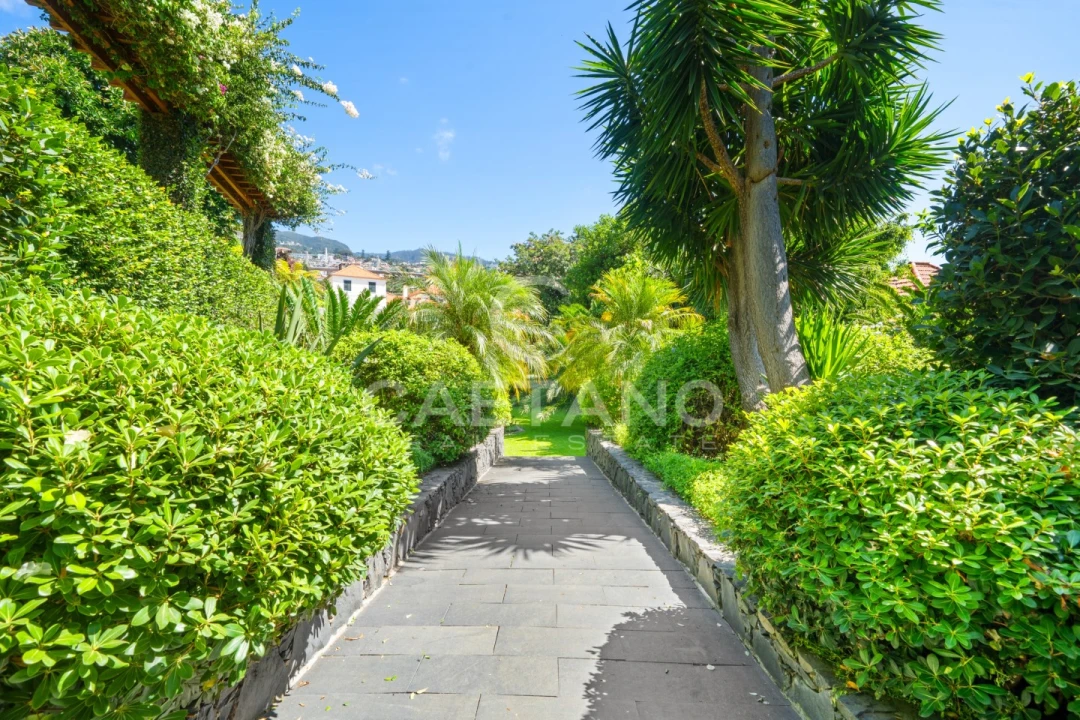 Quinta T8 para Venda em Funchal (Santa Luzia) Foto 40