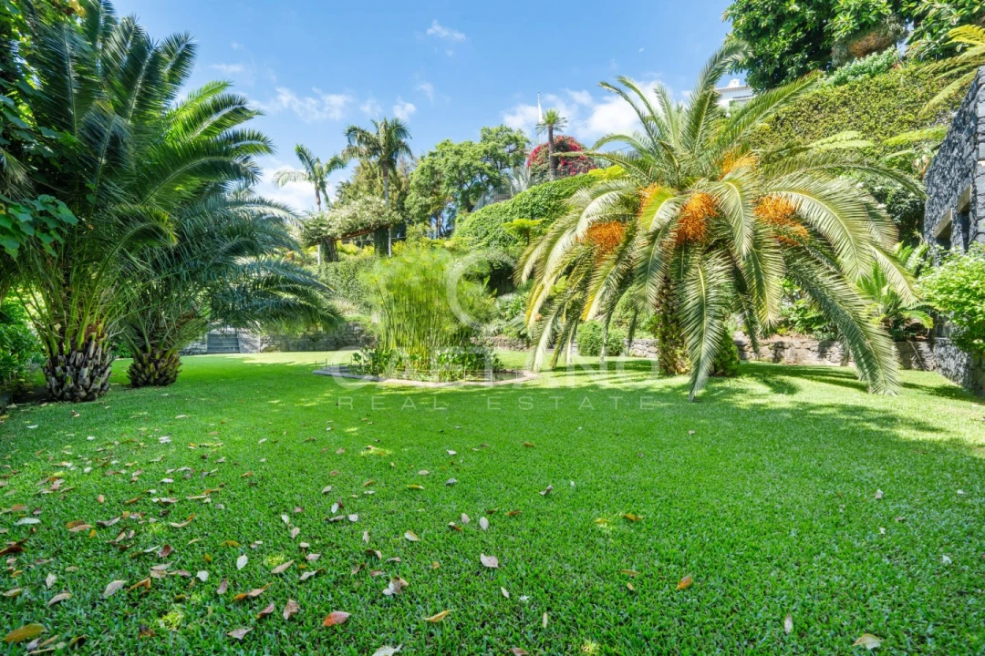 Quinta T8 para Venda em Funchal (Santa Luzia) Foto 42