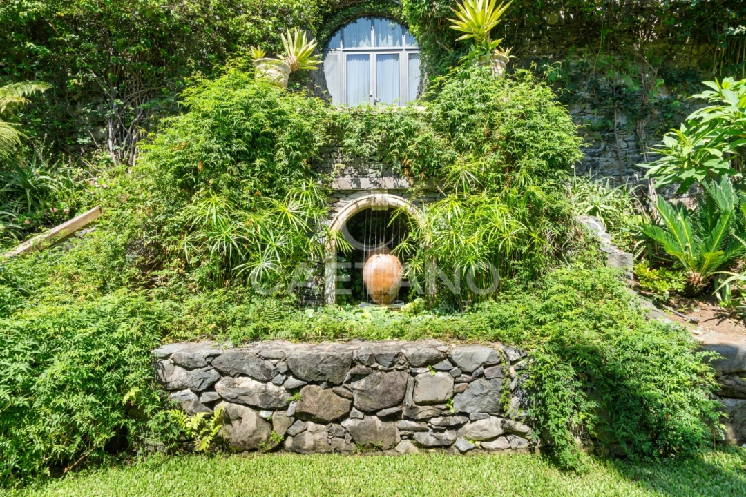 Quinta T8 para Venda em Funchal (Santa Luzia) Foto 43